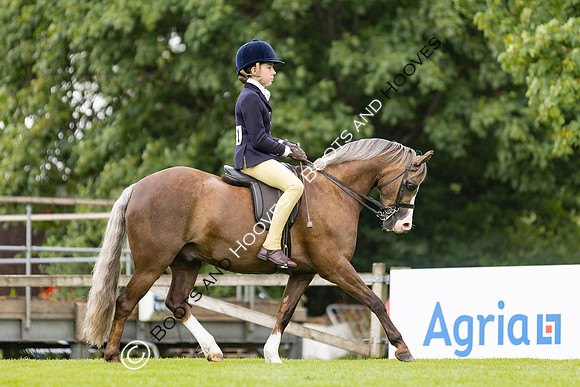 The Agria Royal International Horse Show