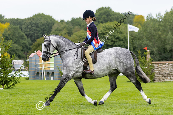 The Agria Royal International Horse Show