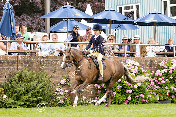 The Agria Royal International Horse Show
