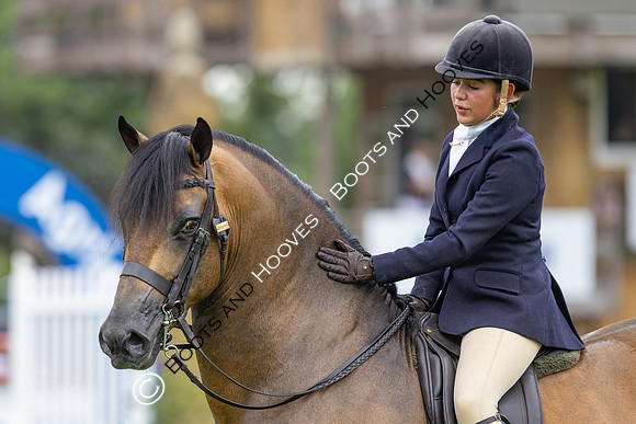 The Agria Royal International Horse Show