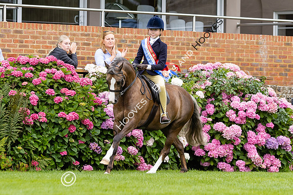 The Agria Royal International Horse Show