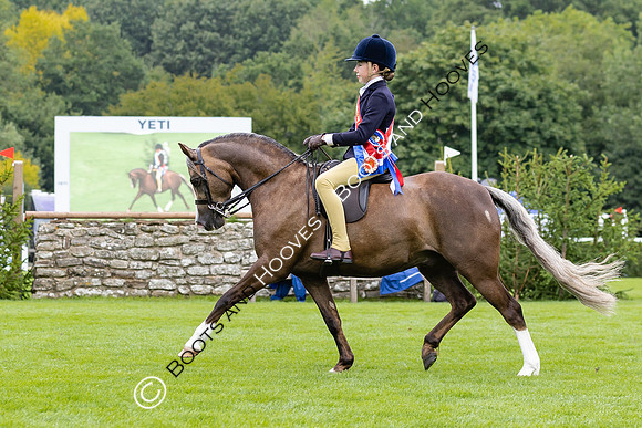 The Agria Royal International Horse Show