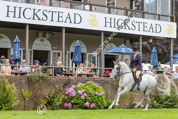 The Agria Royal International Horse Show