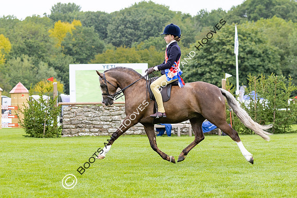 The Agria Royal International Horse Show