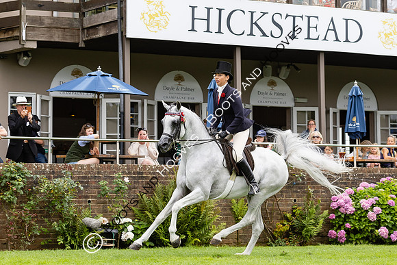 The Agria Royal International Horse Show