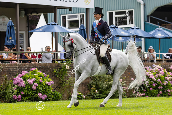 The Agria Royal International Horse Show