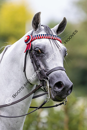 The Agria Royal International Horse Show
