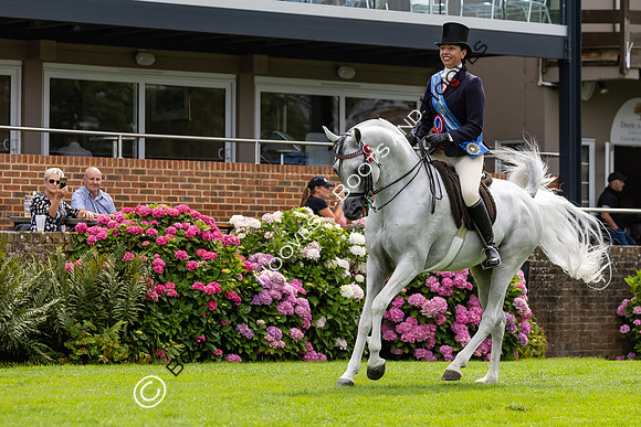 The Agria Royal International Horse Show
