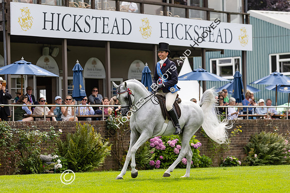The Agria Royal International Horse Show