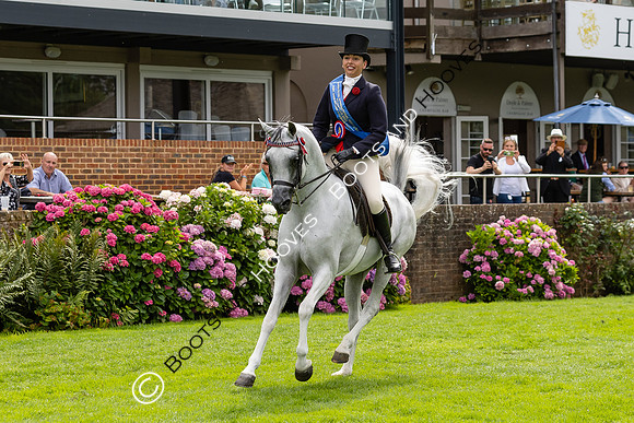 The Agria Royal International Horse Show