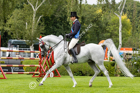 The Agria Royal International Horse Show