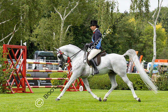 The Agria Royal International Horse Show