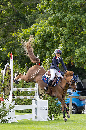 The Agria Royal International Horse Show