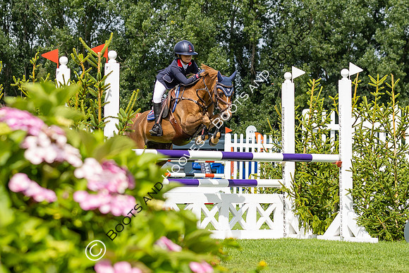 The Agria Royal International Horse Show