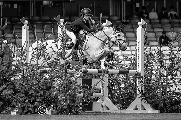 The Agria Royal International Horse Show