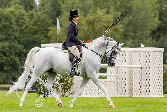 The Agria Royal International Horse Show