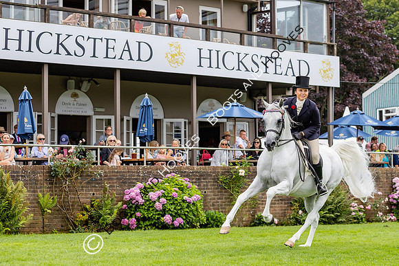 The Agria Royal International Horse Show