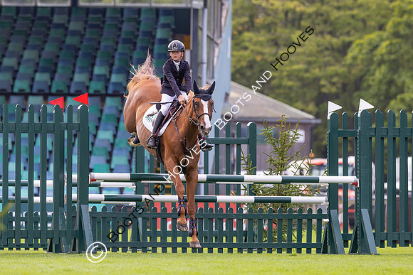 The Agria Royal International Horse Show
