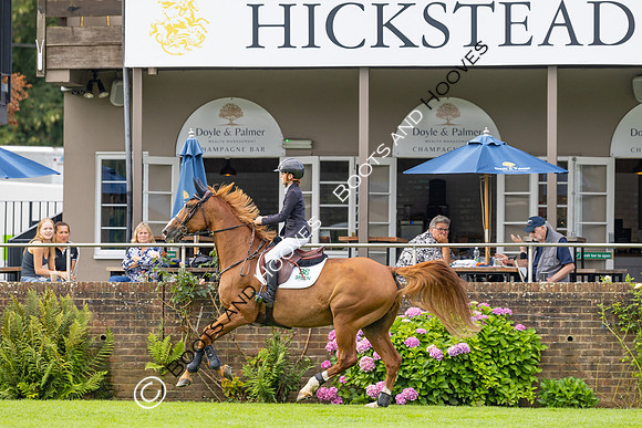 The Agria Royal International Horse Show