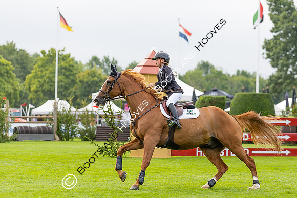 The Agria Royal International Horse Show