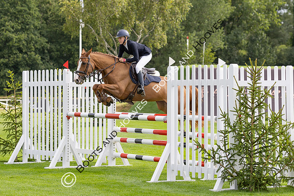 The Agria Royal International Horse Show