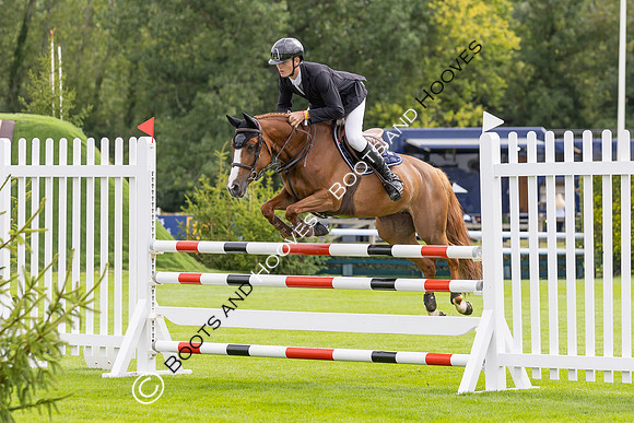The Agria Royal International Horse Show