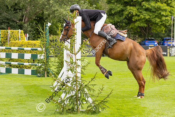 The Agria Royal International Horse Show
