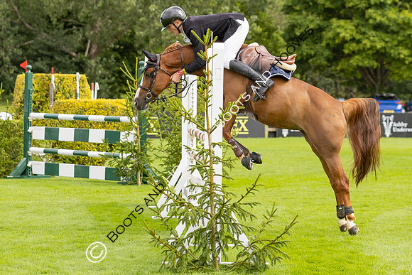 The Agria Royal International Horse Show