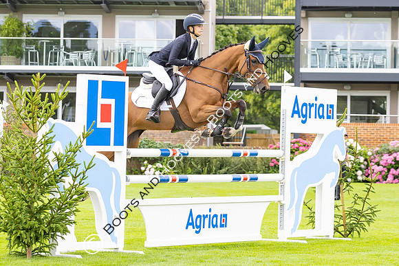 The Agria Royal International Horse Show