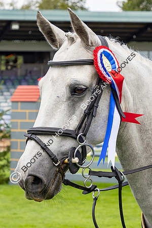 The Agria Royal International Horse Show
