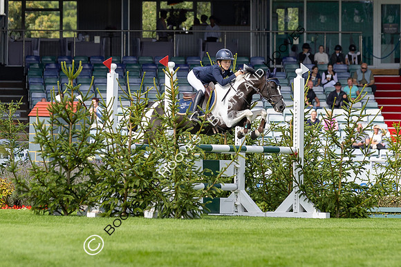 The Agria Royal International Horse Show