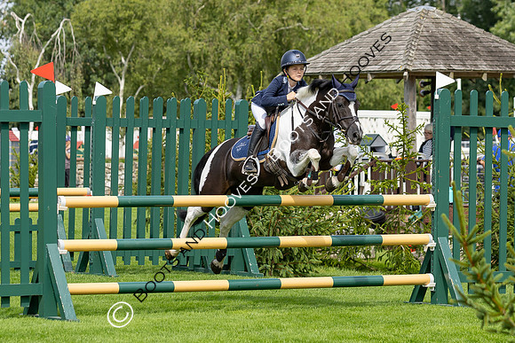 The Agria Royal International Horse Show