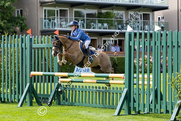 The Agria Royal International Horse Show