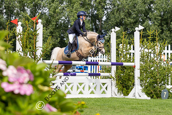 The Agria Royal International Horse Show