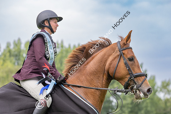 The Agria Royal International Horse Show