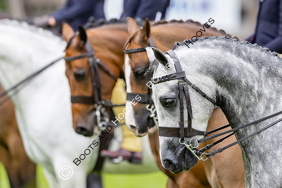 The Agria Royal International Horse Show