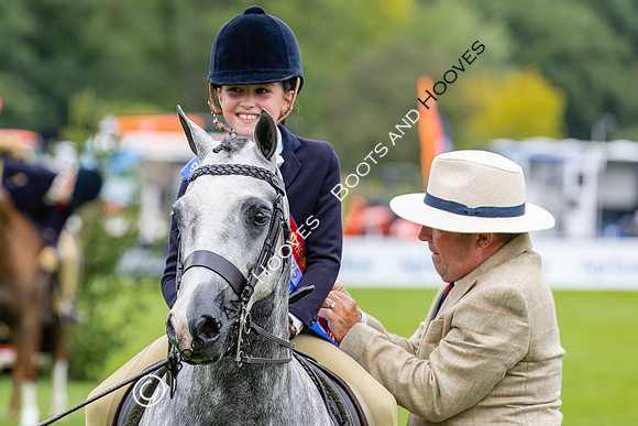The Agria Royal International Horse Show