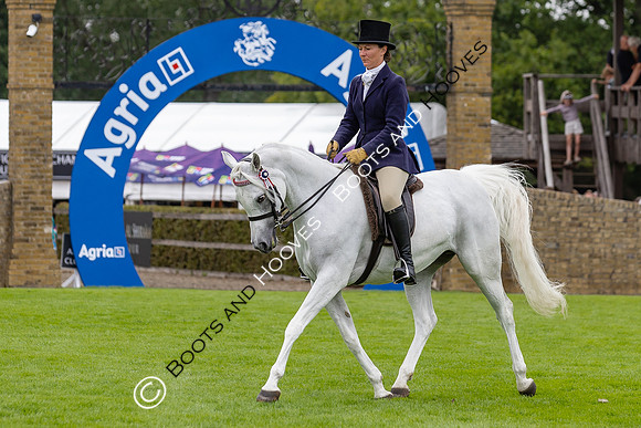 The Agria Royal International Horse Show