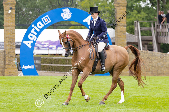 The Agria Royal International Horse Show