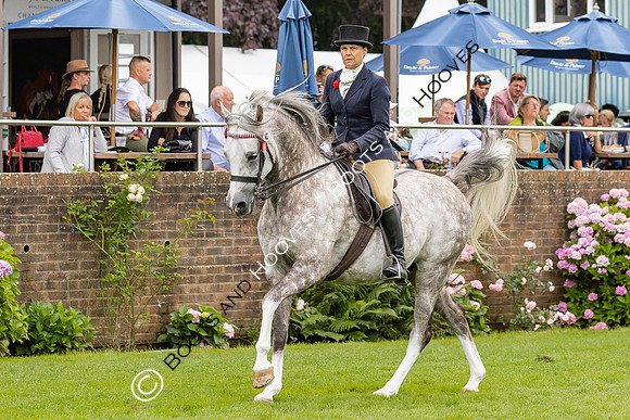 The Agria Royal International Horse Show