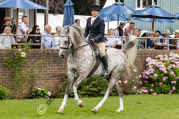 The Agria Royal International Horse Show