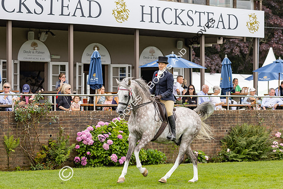 The Agria Royal International Horse Show