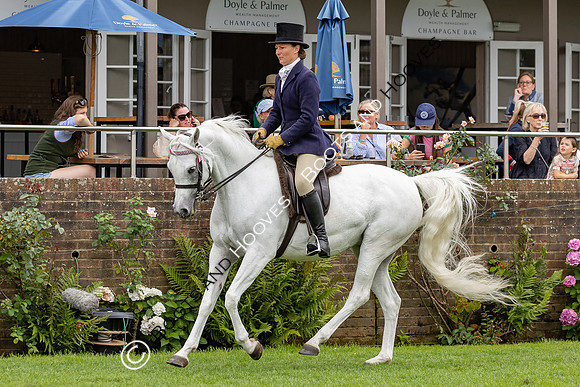 The Agria Royal International Horse Show