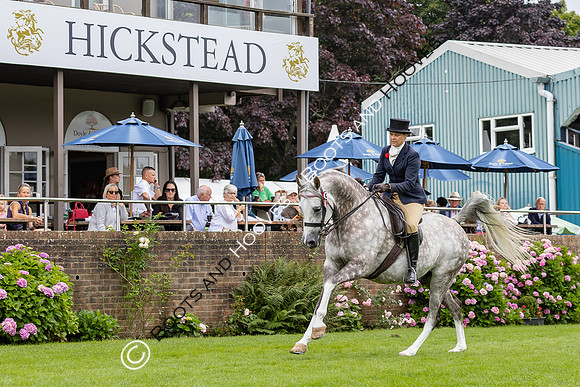 The Agria Royal International Horse Show