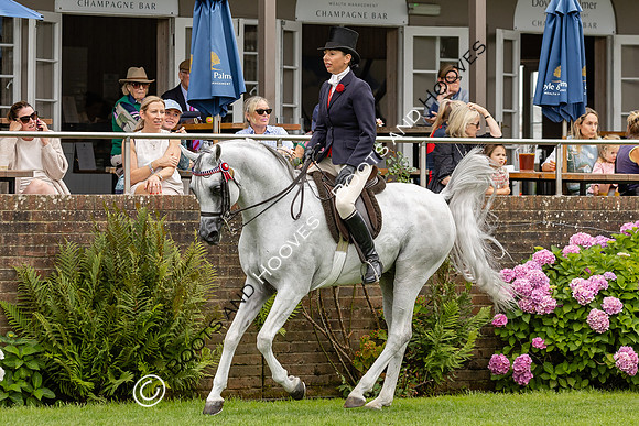 The Agria Royal International Horse Show
