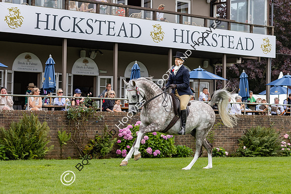 The Agria Royal International Horse Show