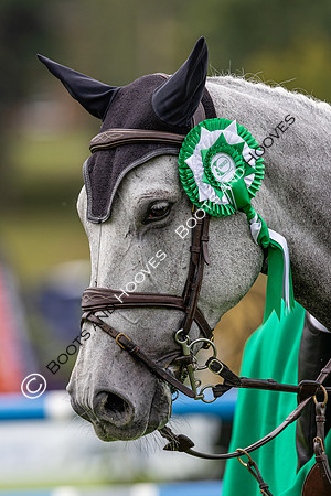 The Agria Royal International Horse Show