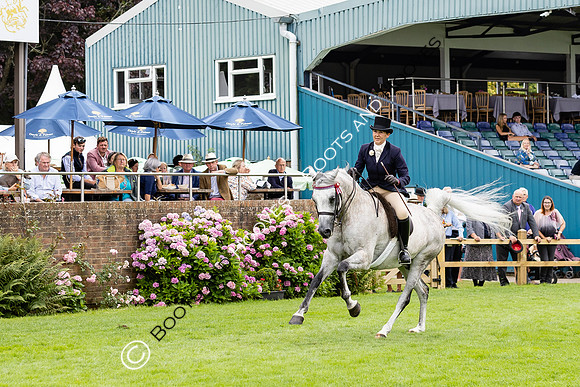 The Agria Royal International Horse Show