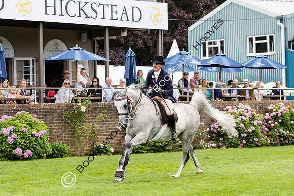 The Agria Royal International Horse Show