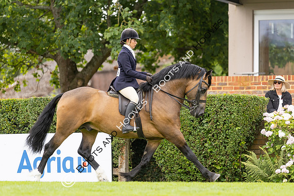 The Agria Royal International Horse Show